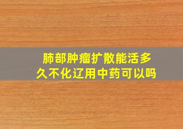 肺部肿瘤扩散能活多久不化辽用中药可以吗