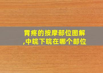 胃疼的按摩部位图解,中皖下皖在哪个部位