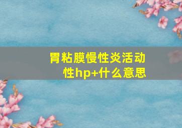 胃粘膜慢性炎活动性hp+什么意思