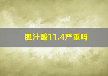 胆汁酸11.4严重吗