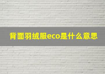 背面羽绒服eco是什么意思