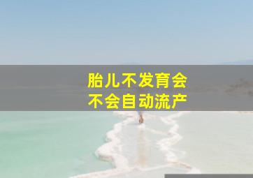 胎儿不发育会不会自动流产