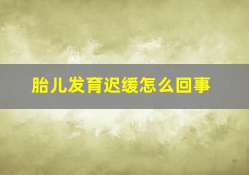 胎儿发育迟缓怎么回事