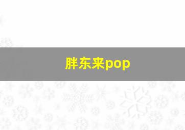 胖东来pop