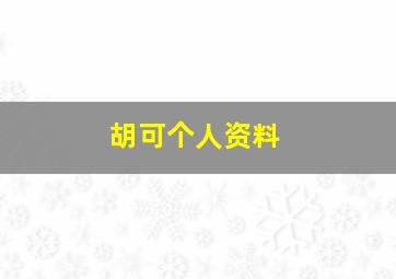 胡可个人资料