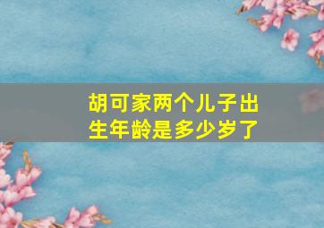 胡可家两个儿子出生年龄是多少岁了