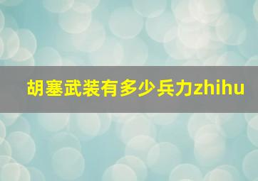 胡塞武装有多少兵力zhihu