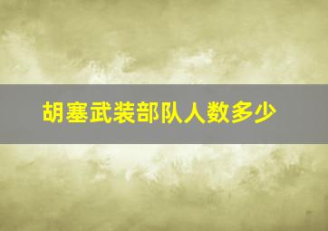 胡塞武装部队人数多少