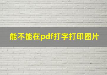 能不能在pdf打字打印图片