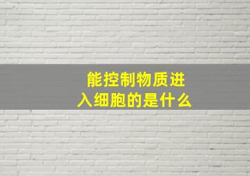 能控制物质进入细胞的是什么