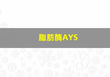 脂肪酶AYS