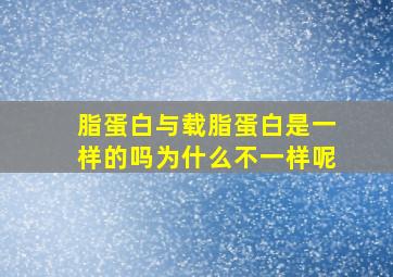 脂蛋白与载脂蛋白是一样的吗为什么不一样呢