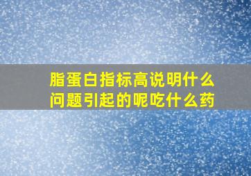 脂蛋白指标高说明什么问题引起的呢吃什么药