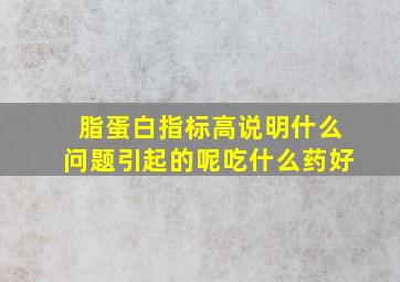 脂蛋白指标高说明什么问题引起的呢吃什么药好