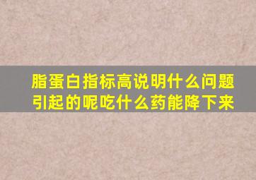 脂蛋白指标高说明什么问题引起的呢吃什么药能降下来