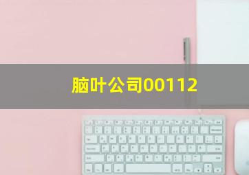 脑叶公司00112