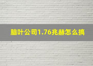 脑叶公司1.76兆赫怎么搞