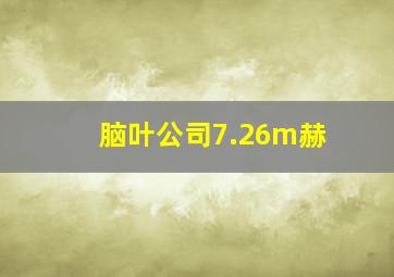 脑叶公司7.26m赫