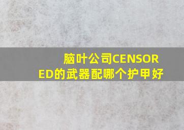 脑叶公司CENSORED的武器配哪个护甲好