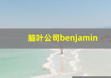 脑叶公司benjamin