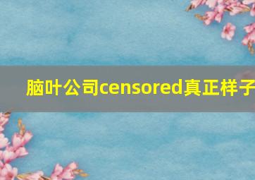 脑叶公司censored真正样子