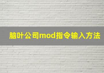 脑叶公司mod指令输入方法