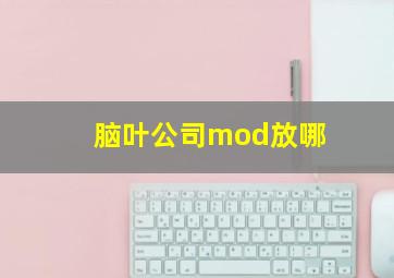 脑叶公司mod放哪