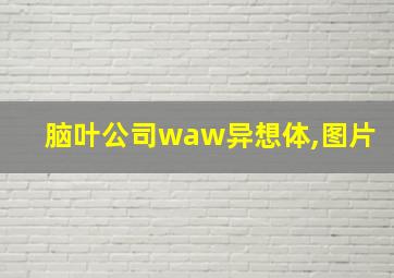 脑叶公司waw异想体,图片