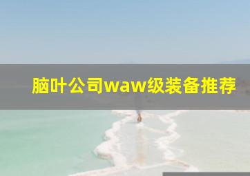 脑叶公司waw级装备推荐