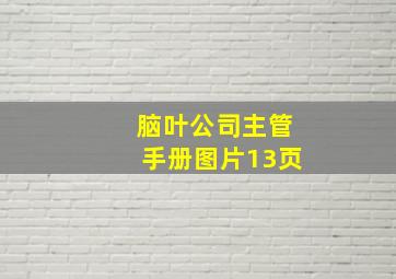 脑叶公司主管手册图片13页