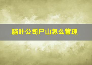 脑叶公司尸山怎么管理