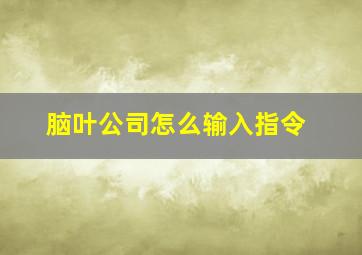 脑叶公司怎么输入指令