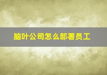 脑叶公司怎么部署员工