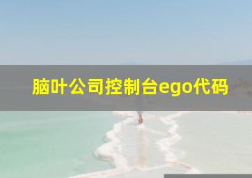 脑叶公司控制台ego代码