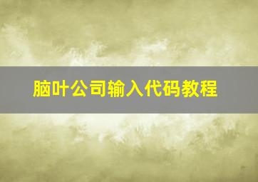 脑叶公司输入代码教程