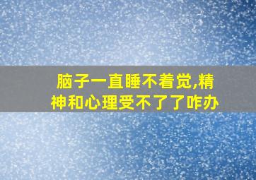 脑子一直睡不着觉,精神和心理受不了了咋办