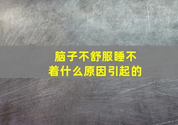 脑子不舒服睡不着什么原因引起的