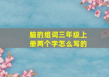 脑的组词三年级上册两个字怎么写的