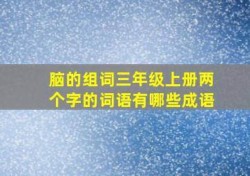 脑的组词三年级上册两个字的词语有哪些成语