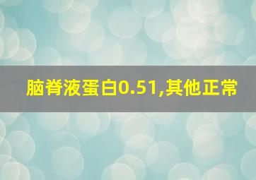 脑脊液蛋白0.51,其他正常