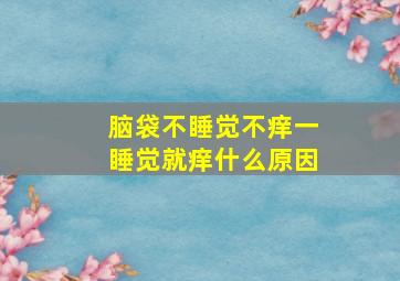 脑袋不睡觉不痒一睡觉就痒什么原因