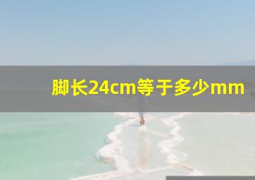 脚长24cm等于多少mm