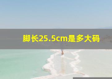 脚长25.5cm是多大码