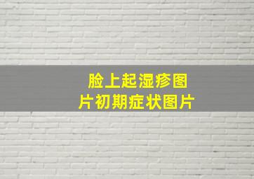 脸上起湿疹图片初期症状图片