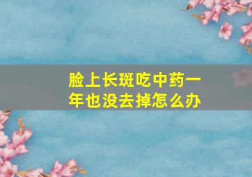 脸上长斑吃中药一年也没去掉怎么办