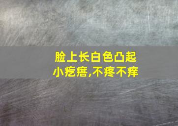 脸上长白色凸起小疙瘩,不疼不痒