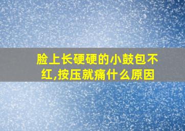 脸上长硬硬的小鼓包不红,按压就痛什么原因