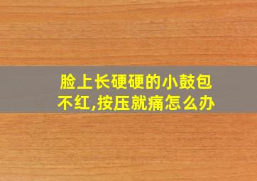 脸上长硬硬的小鼓包不红,按压就痛怎么办