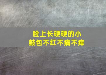 脸上长硬硬的小鼓包不红不痛不痒