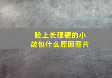 脸上长硬硬的小鼓包什么原因图片